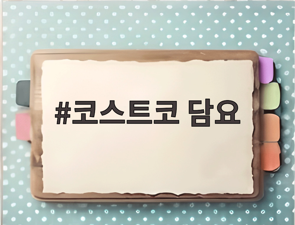 코스트코 담요