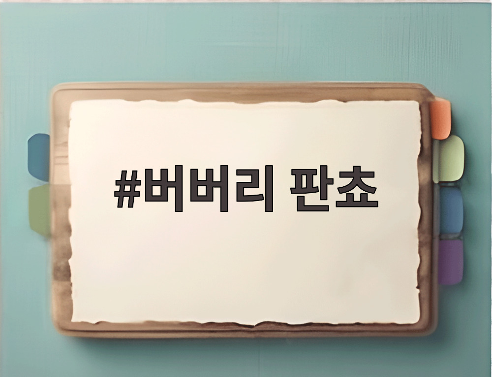 버버리 판쵸