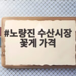 노량진 수산시장 꽃게 가격 가을 제철 꽃게찜 제대로 맛있게 즐기기 노량진 수산시장 꽃게 가격