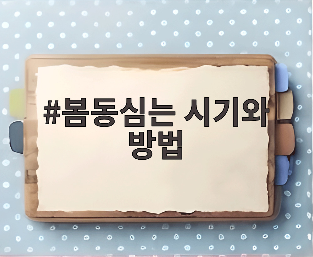 봄동심는 시기와 방법