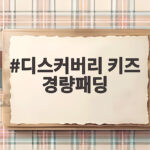 디스커버리 키즈 경량패딩으로 간절기부터 겨울까지 든든하게 디스커버리 키즈 경량패딩