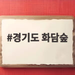 경기도 화담숲 가을 단풍 예약부터 모노레일까지 준비 방법 경기도 화담숲