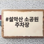 설악산 소공원 주차장 만차 시간대와 무료 대안 총정리 설악산 소공원 주차장