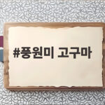 풍원미 고구마 달콤한 주황빛 속살이 인기 있는 이유가 궁금하다면 풍원미 고구마