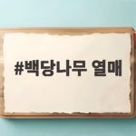 백당나무 열매