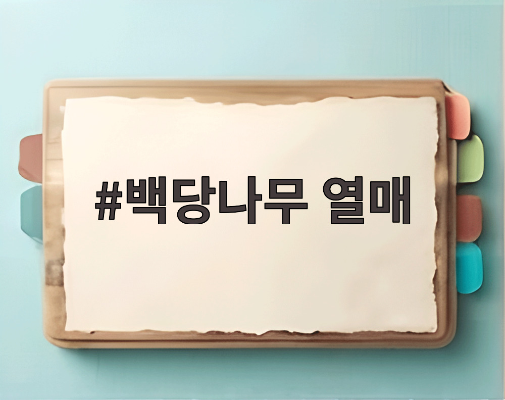 백당나무 열매