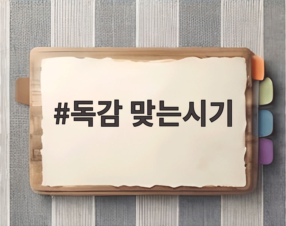 독감 맞는시기