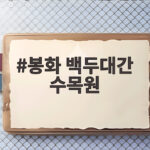 봉화 백두대간 수목원 가을 축제 무료 입장과 백두산호랑이 실전 방문기 봉화 백두대간 수목원