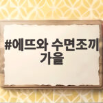 에뜨와 수면조끼 가을