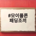 모이몰른 패딩조끼 아이에게 입혀보니 이런 점이 좋았어요 모이몰른 패딩조끼