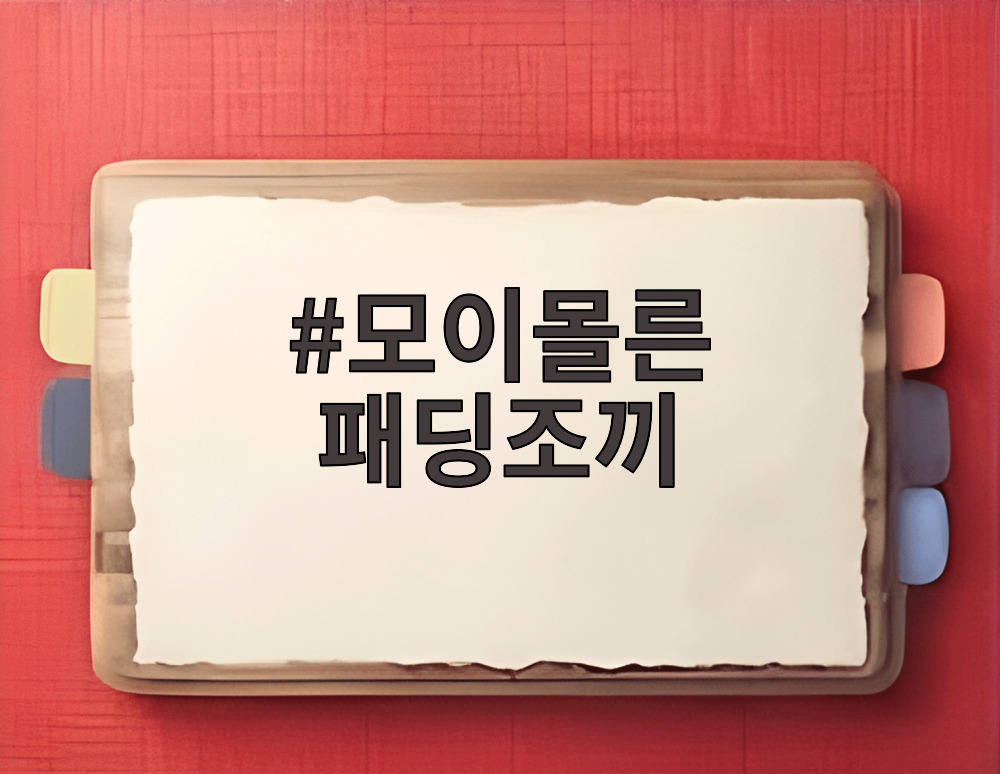 모이몰른 패딩조끼