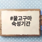 꿀고구마 숙성기간 며칠이면 달콤해질까 궁금하다면 주목하세요 꿀고구마 숙성기간