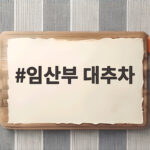 임산부 대추차 진짜 철분 많을까 하루 몇 개가 적당할까요 임산부 대추차