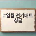 일월 전기매트 싱글 혼자 쓰는 침대에 딱 맞는 이유 일월 전기매트 싱글