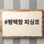 평택항 피싱호 가을 주꾸미 선상낚시 준비와 최근 조황 평택항 피싱호