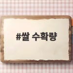 쌀 수확량 351만 톤 전망인데 왜 줄어들까 예상 생산량 숫자 읽는 법 쌀 수확량