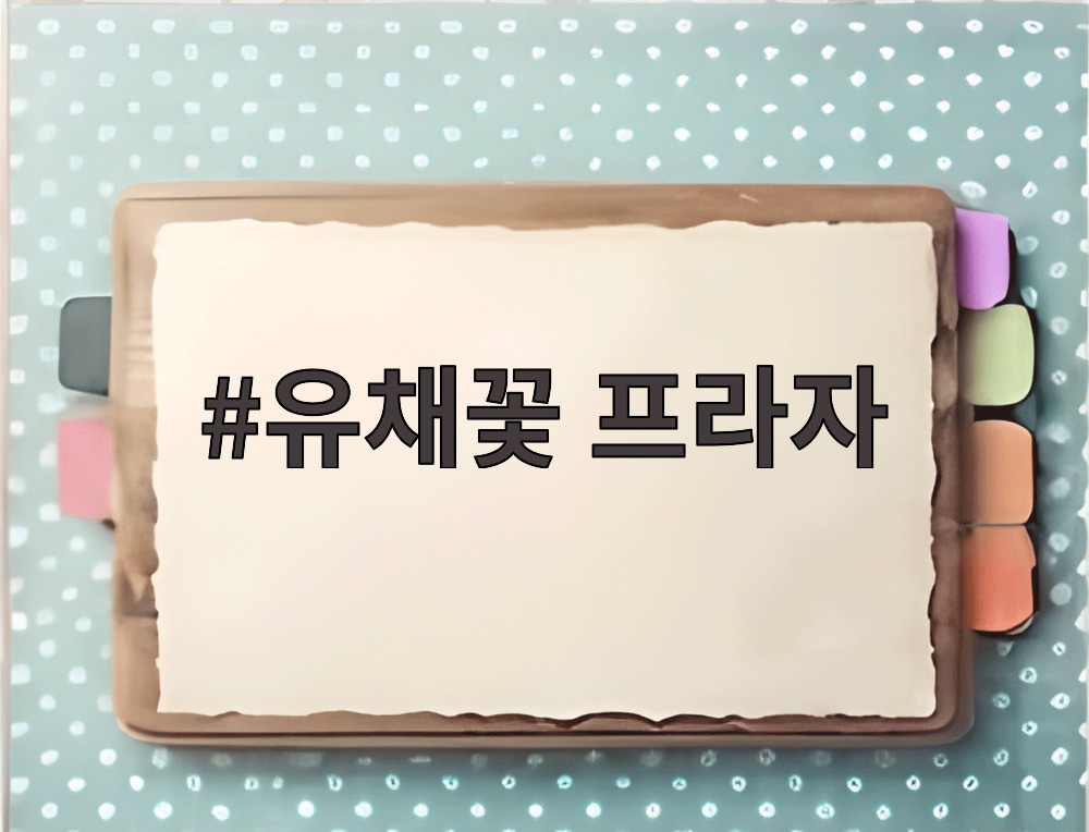 유채꽃 프라자