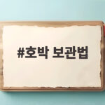 호박 보관법