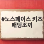 노스페이스 키즈 패딩조끼