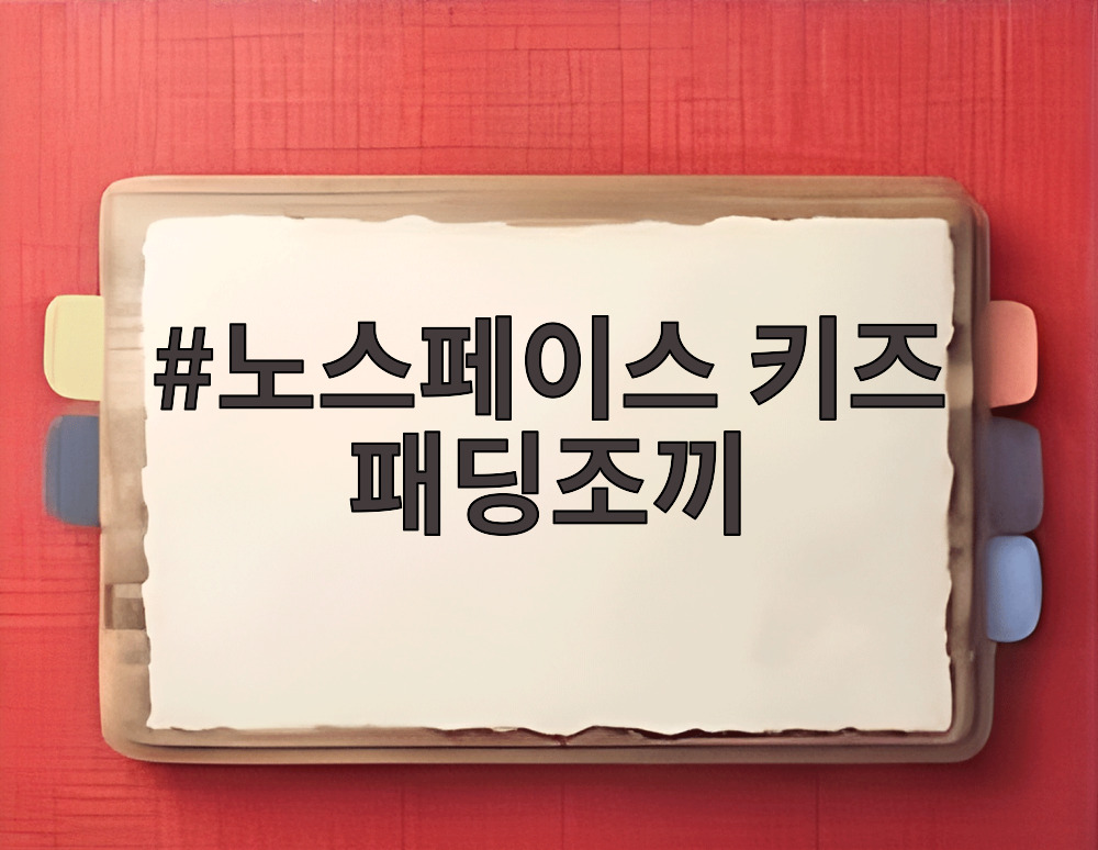 노스페이스 키즈 패딩조끼