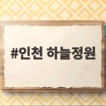 인천 하늘정원 가을 코스모스와 비행기 인생샷 찍는 법 인천 하늘정원
