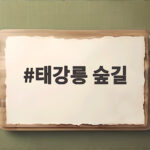 태강릉 숲길 가을 개방 시기에 놓치면 아쉬운 이유 태강릉 숲길