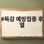 독감 예방접종 후 열 날 때 확인할 것과 병원 가는 신호 독감 예방접종 후 열