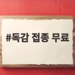 독감 접종 무료 대상과 일정 나이별 시작일 한눈에 확인 독감 접종 무료