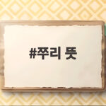쭈리 뜻 모르고 맨투맨 사면 후회하는 이유와 고르는 방법 쭈리 뜻