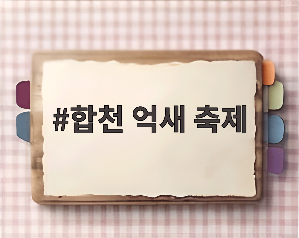 합천 억새 축제
