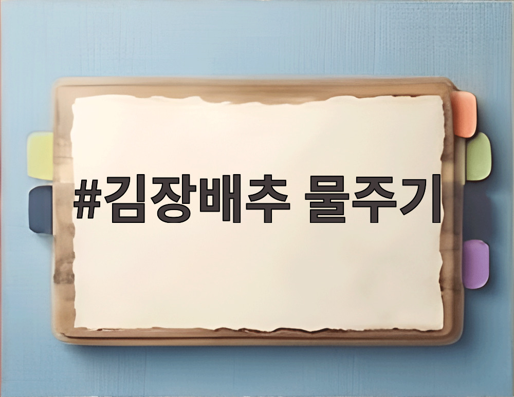 김장배추 물주기