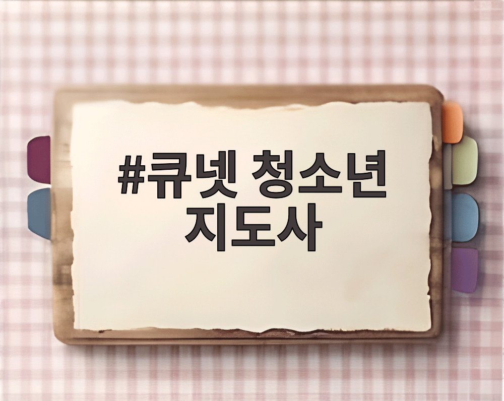 큐넷 청소년 지도사