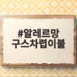 알레르망 구스차렵이불