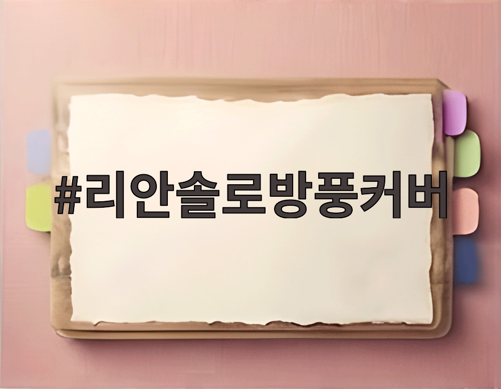 리안솔로방풍커버