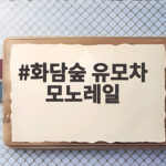 화담숲 유모차 모노레일