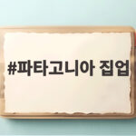 파타고니아 집업