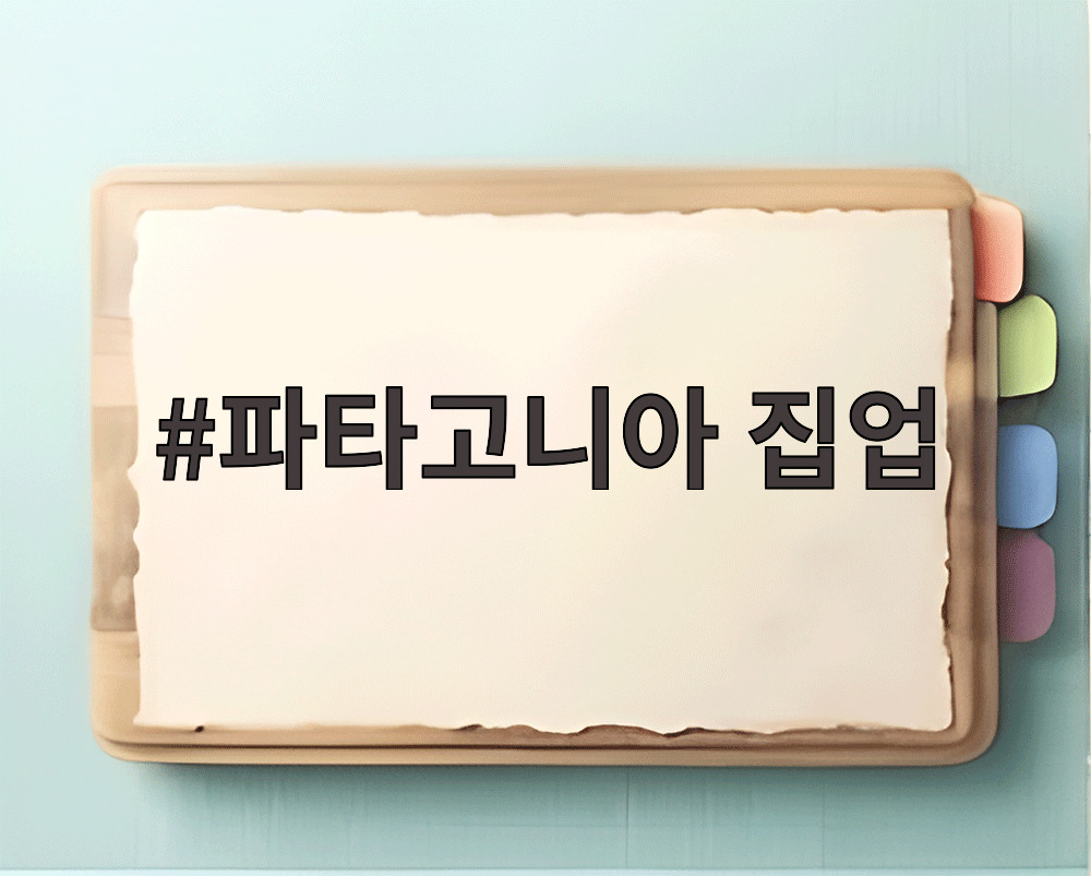 파타고니아 집업