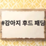 강아지 후드 패딩 언제 입혀야 할까 실패 없는 선택법 강아지 후드 패딩
