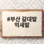 부산 갈대밭 억새밭