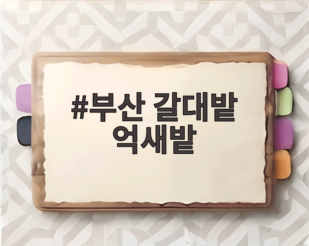 부산 갈대밭 억새밭