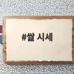쌀 시세