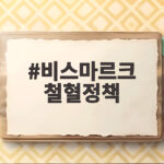 비스마르크 철혈정책이 만든 독일 통일과 평화 유지의 비밀 비스마르크 철혈정책