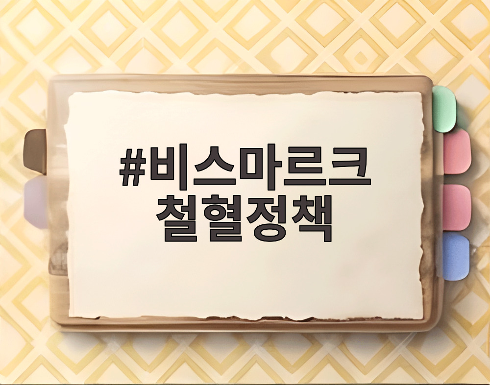 비스마르크 철혈정책