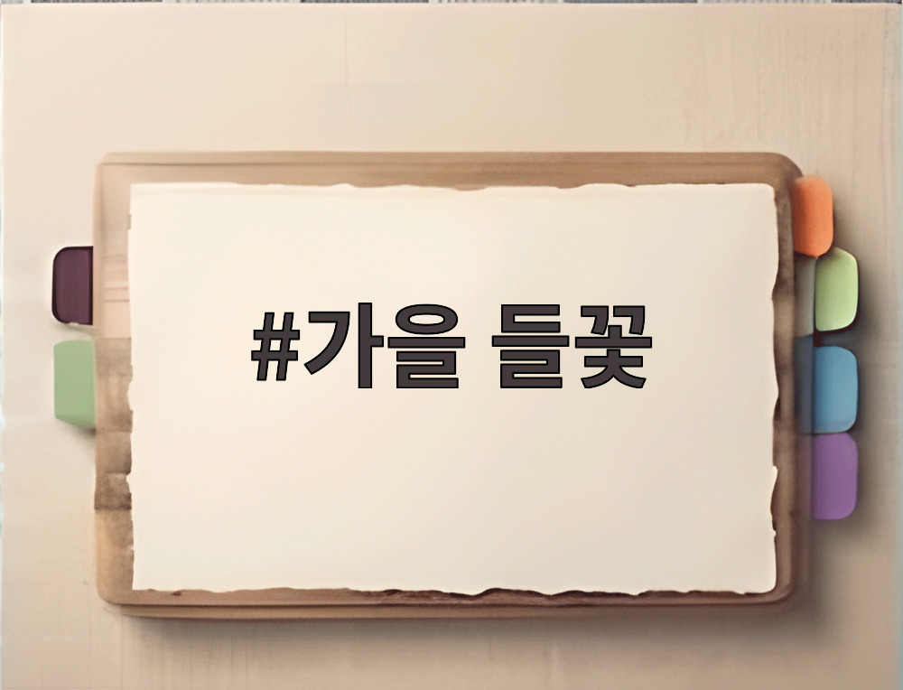 가을 들꽃