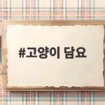 고양이 담요 하나로 꾹꾹이와 발톱 관리가 편해진다 고양이 담요