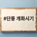 단풍 개화시기 2026 언제가 좋을까 전국 절정 시기 총정리 단풍 개화시기