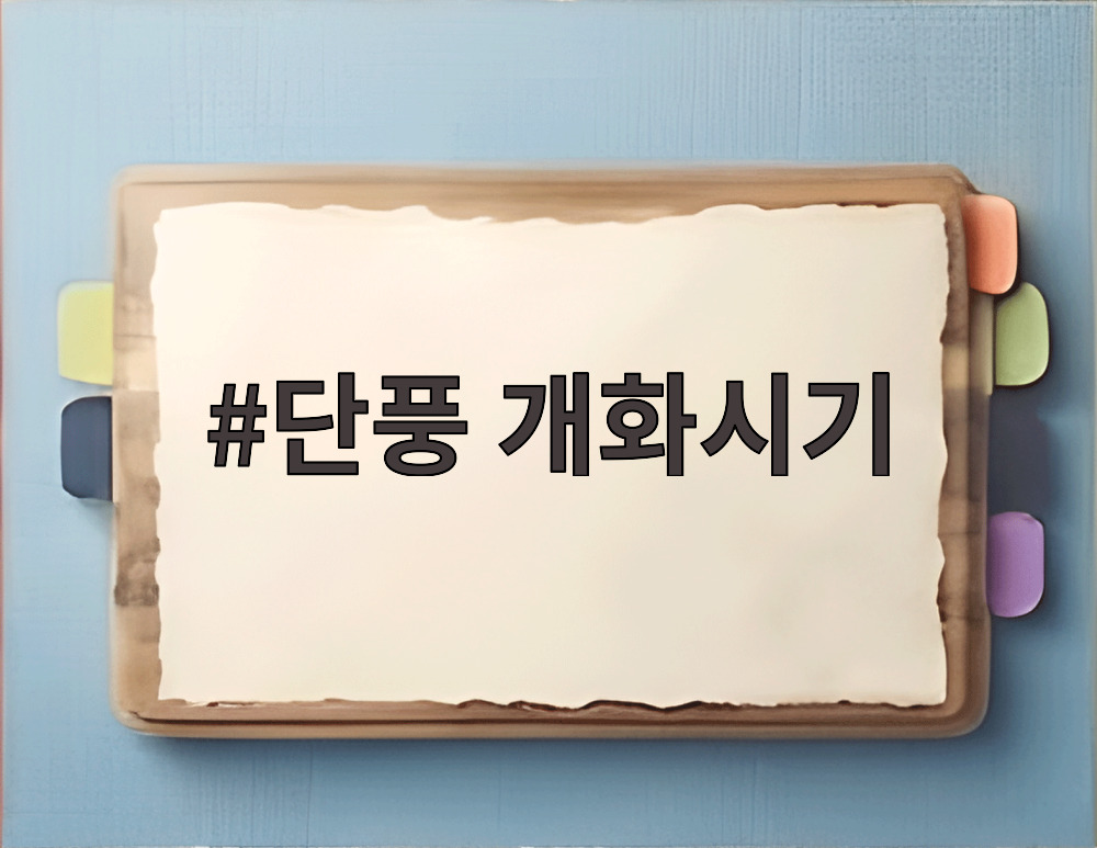 단풍 개화시기