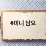 미니 담요 하나로 환절기 추위 걱정 끝내는 방법 미니 담요