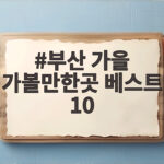 부산 가을 가볼만한곳 베스트 10 단풍 명소와 축제까지 한번에 부산 가을 가볼만한곳 베스트 10