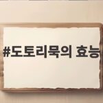 도토리묵의 효능